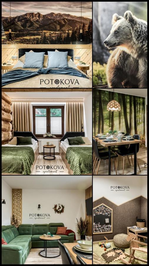 Potokova Apartament Centrum Zakopane Exterior photo